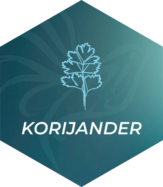 korijander