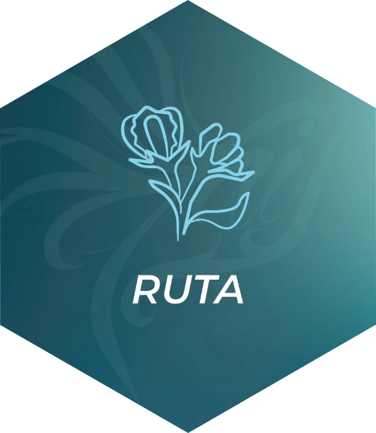 Ruta